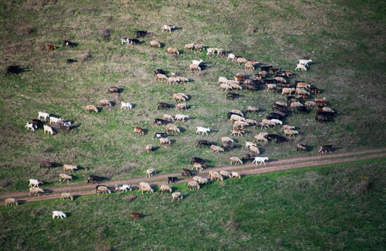 Moldova Daily Life