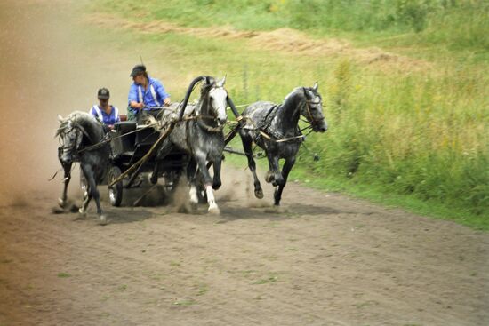 Khrenovsky Stud Farm