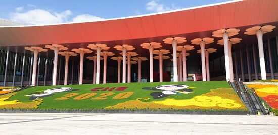 China International Import Expo