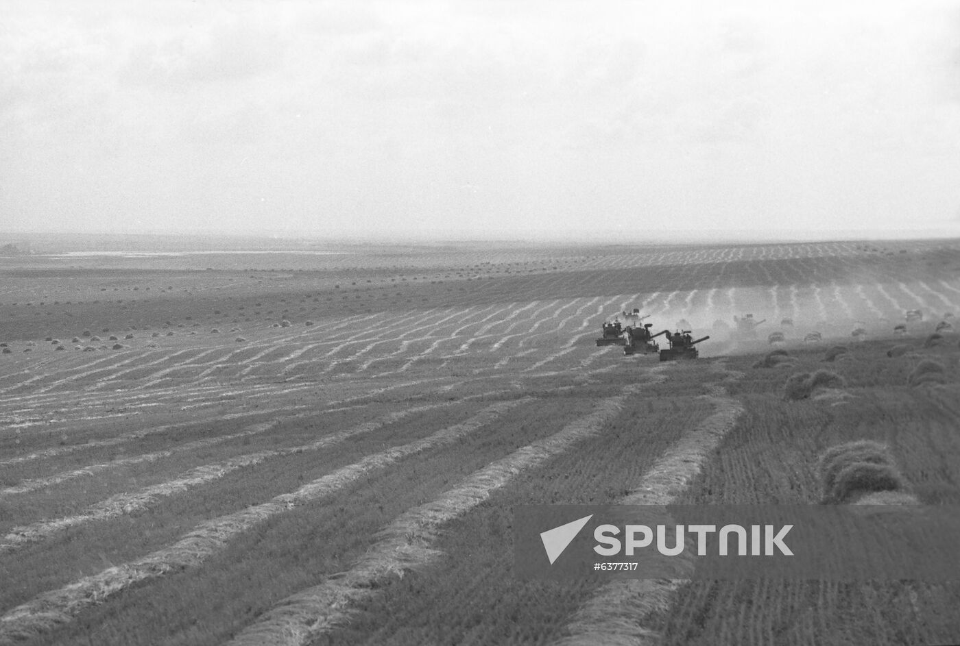 Lvovsky Collective Farm on previously uncultivated land