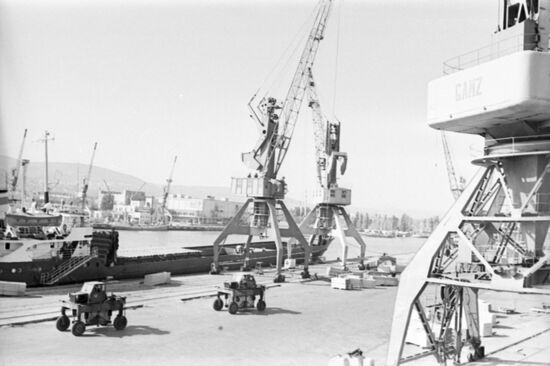Novorossiisk timber seaport