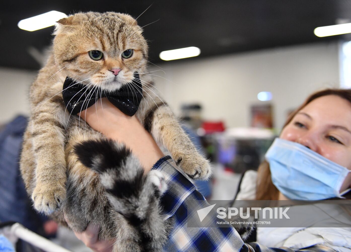 Russia Cats Show