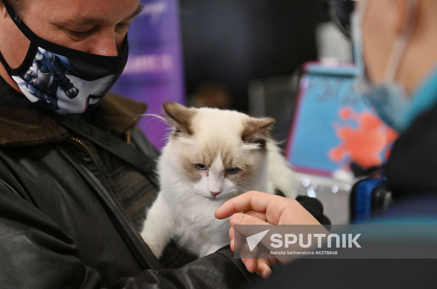 Russia Cats Show