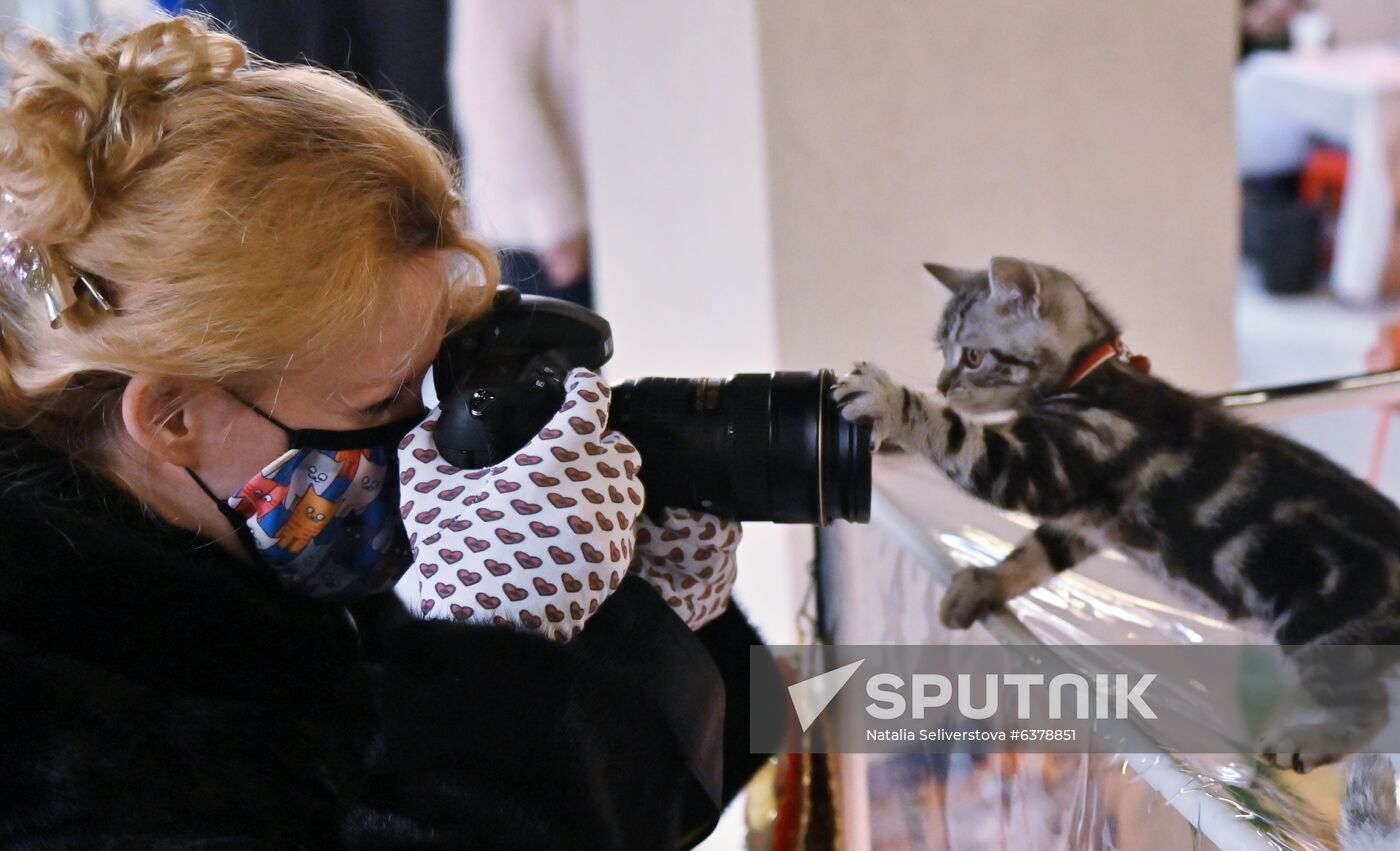 Russia Cats Show