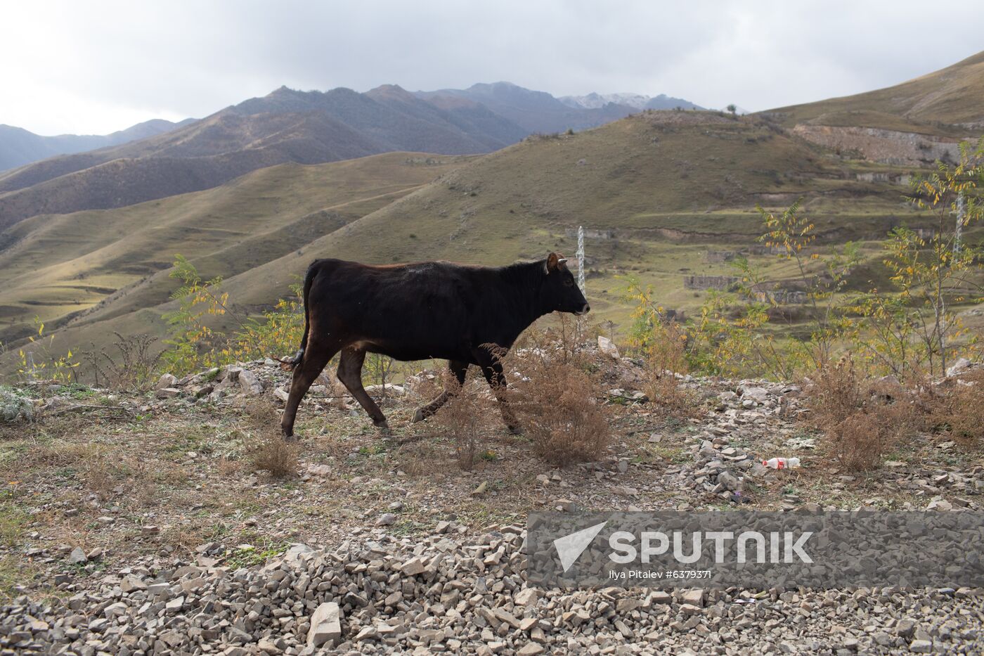 Nagorno-Karabakh Daily Life