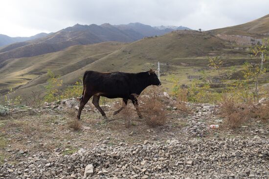 Nagorno-Karabakh Daily Life