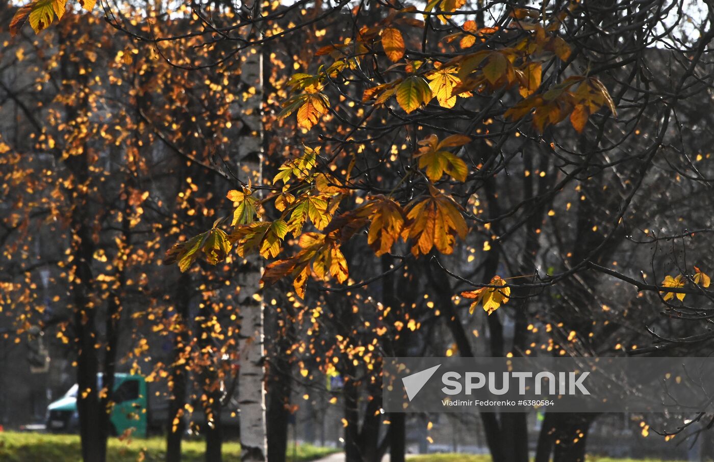 Autumn in Moscow