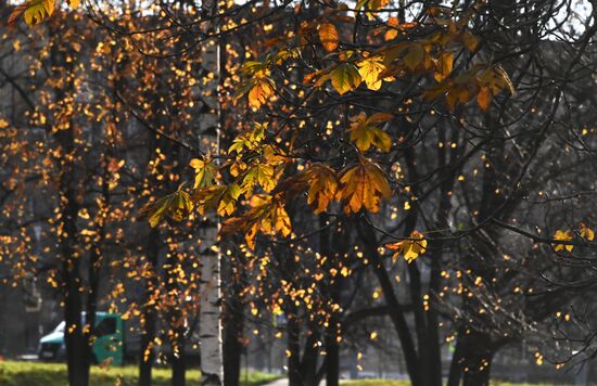 Autumn in Moscow