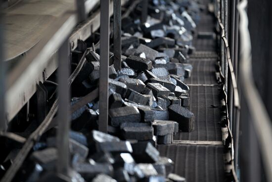 Belarus Peat Briquette Plant
