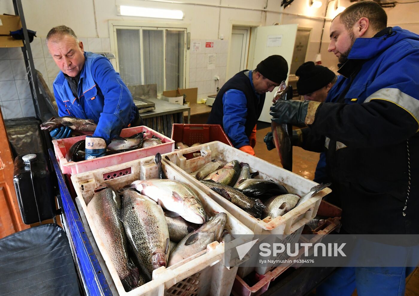 Russia Fish Farm