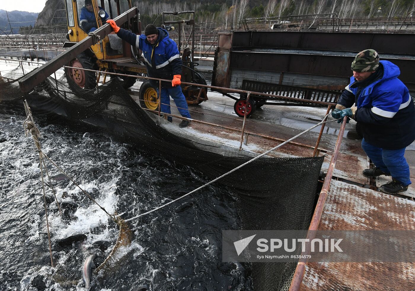 Russia Fish Farm