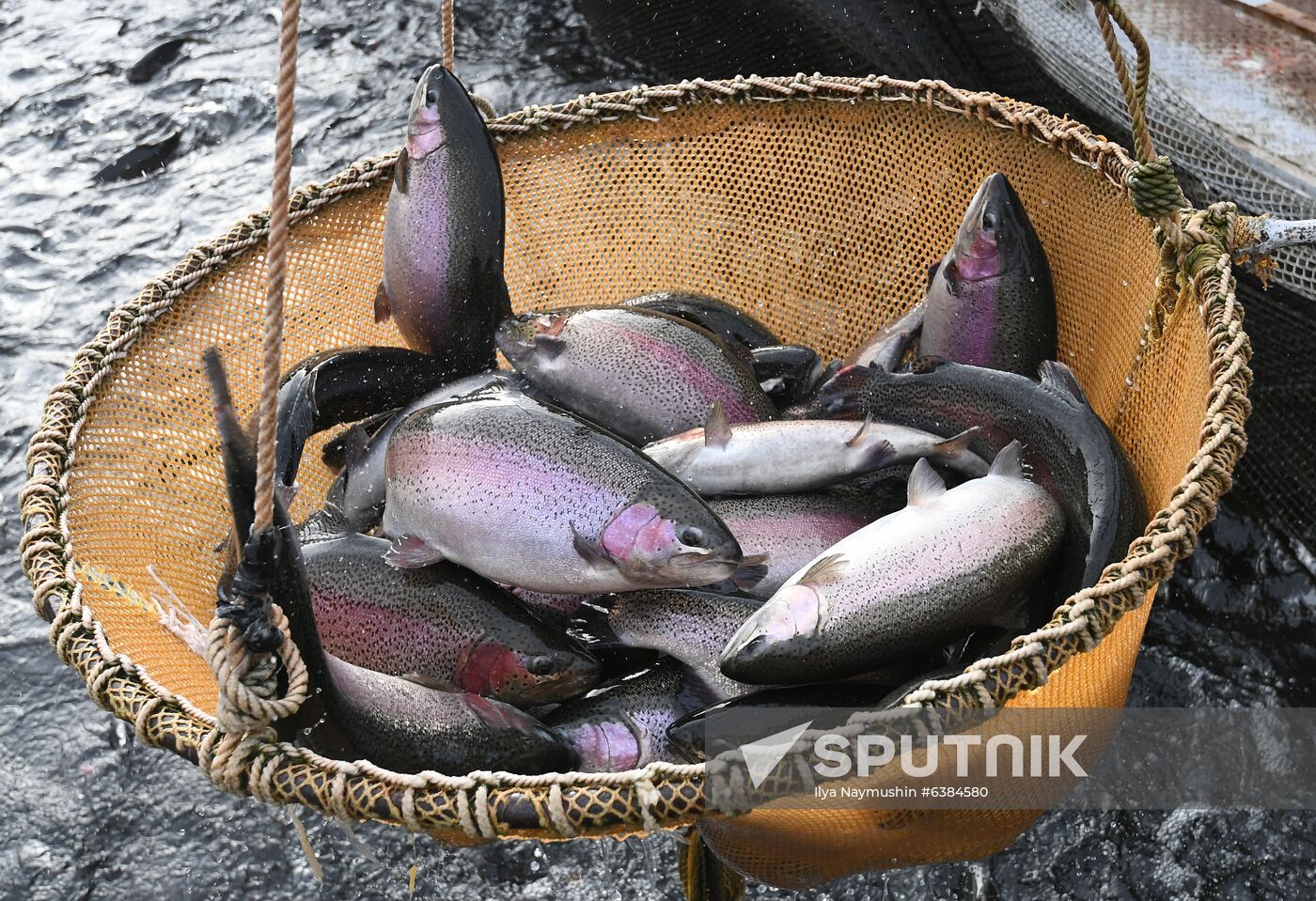 Russia Fish Farm