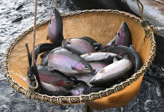 Russia Fish Farm