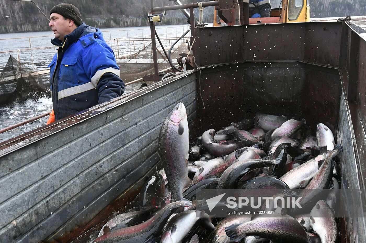 Russia Fish Farm