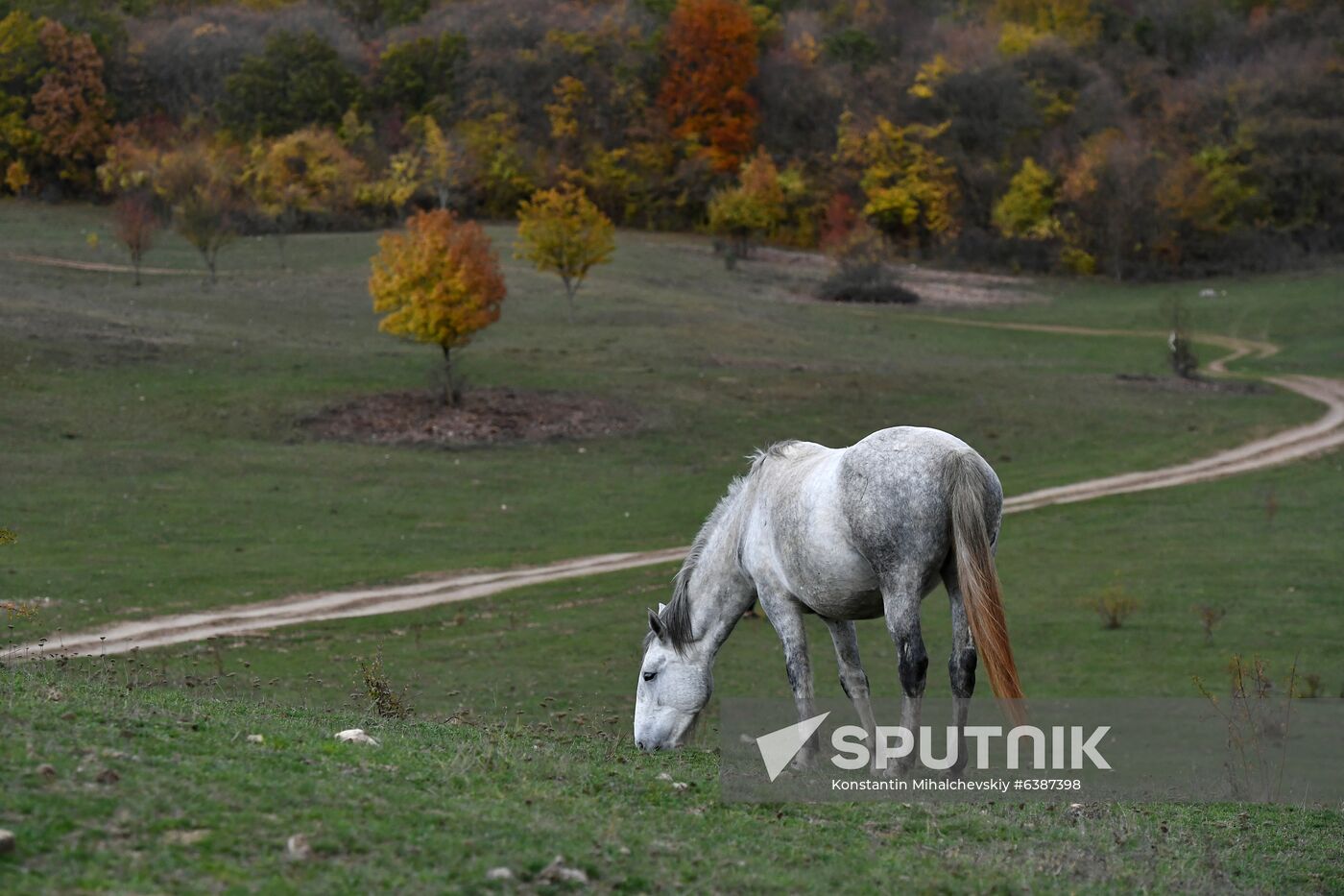 Russia Daily Life