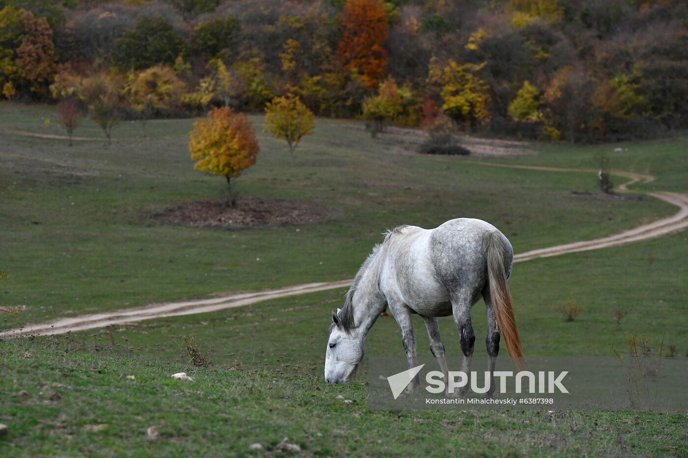 Russia Daily Life 