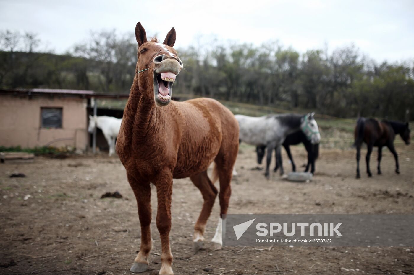 Russia Daily Life