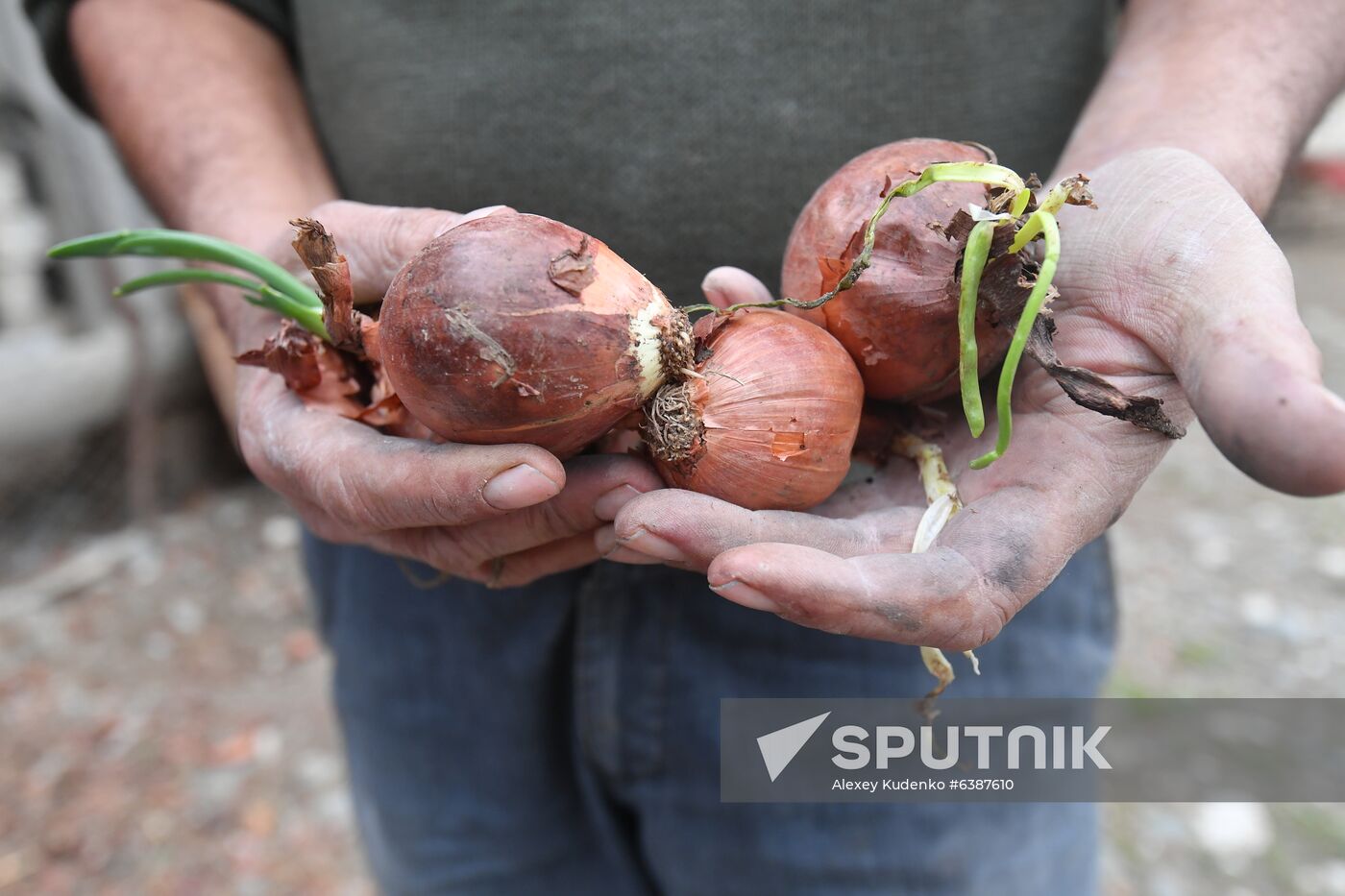 Azerbaijan Armenia Ceasefire