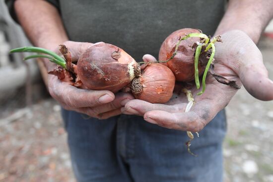 Azerbaijan Armenia Ceasefire