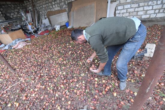 Azerbaijan Armenia Ceasefire