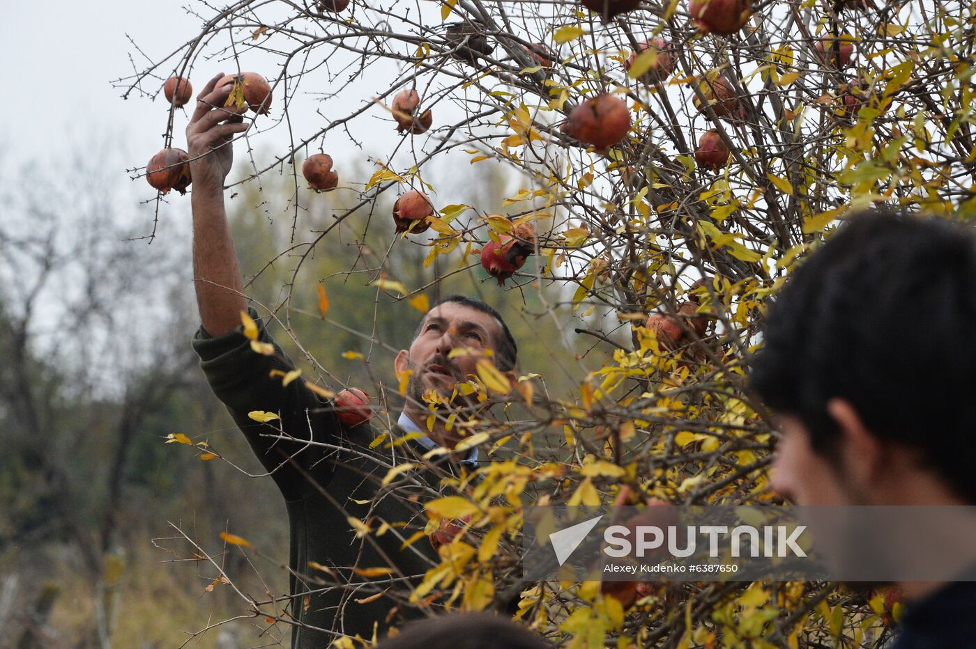 Azerbaijan Armenia Ceasefire