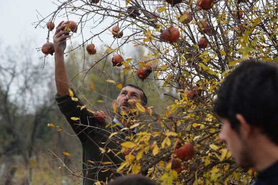 Azerbaijan Armenia Ceasefire