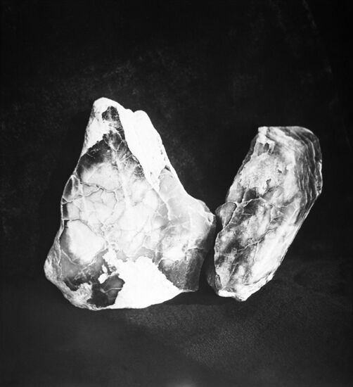 Vishnevite