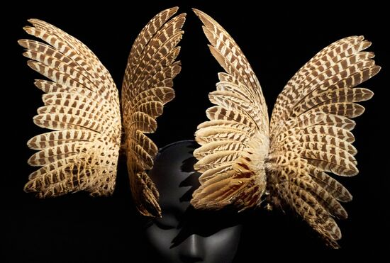 Russia Fashion Treacy Exhibition