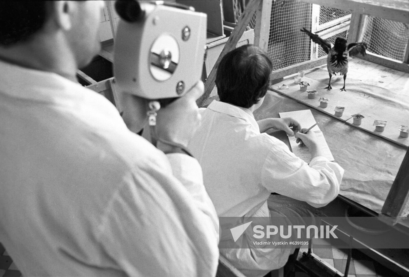Laboratory of Biology Department, Lomonosov Moscow State University