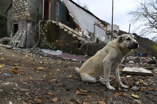Azerbaijan Armenia Ceasefire