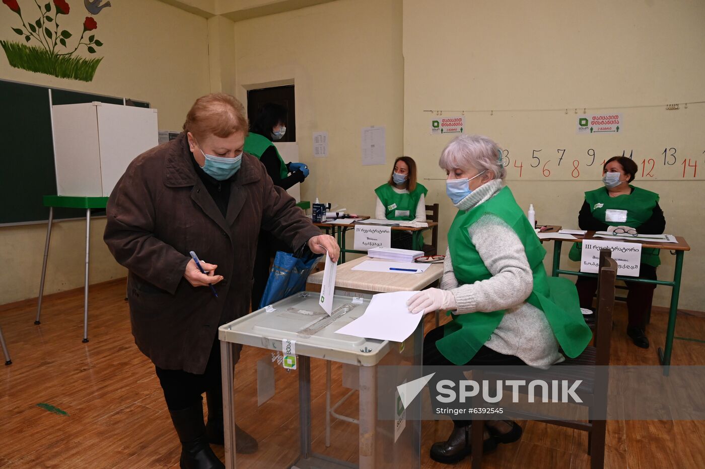 Georgia Parliamentary Elections