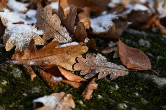 Russia Autumn