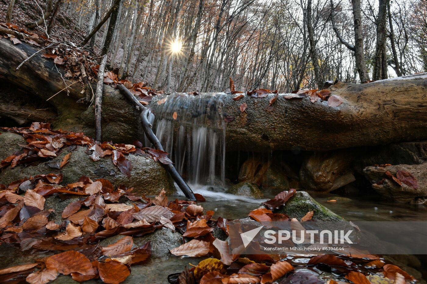 Russia Autumn