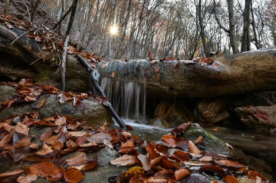 Russia Autumn
