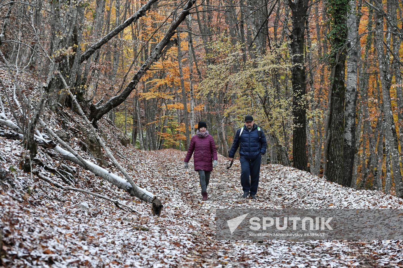 Russia Autumn