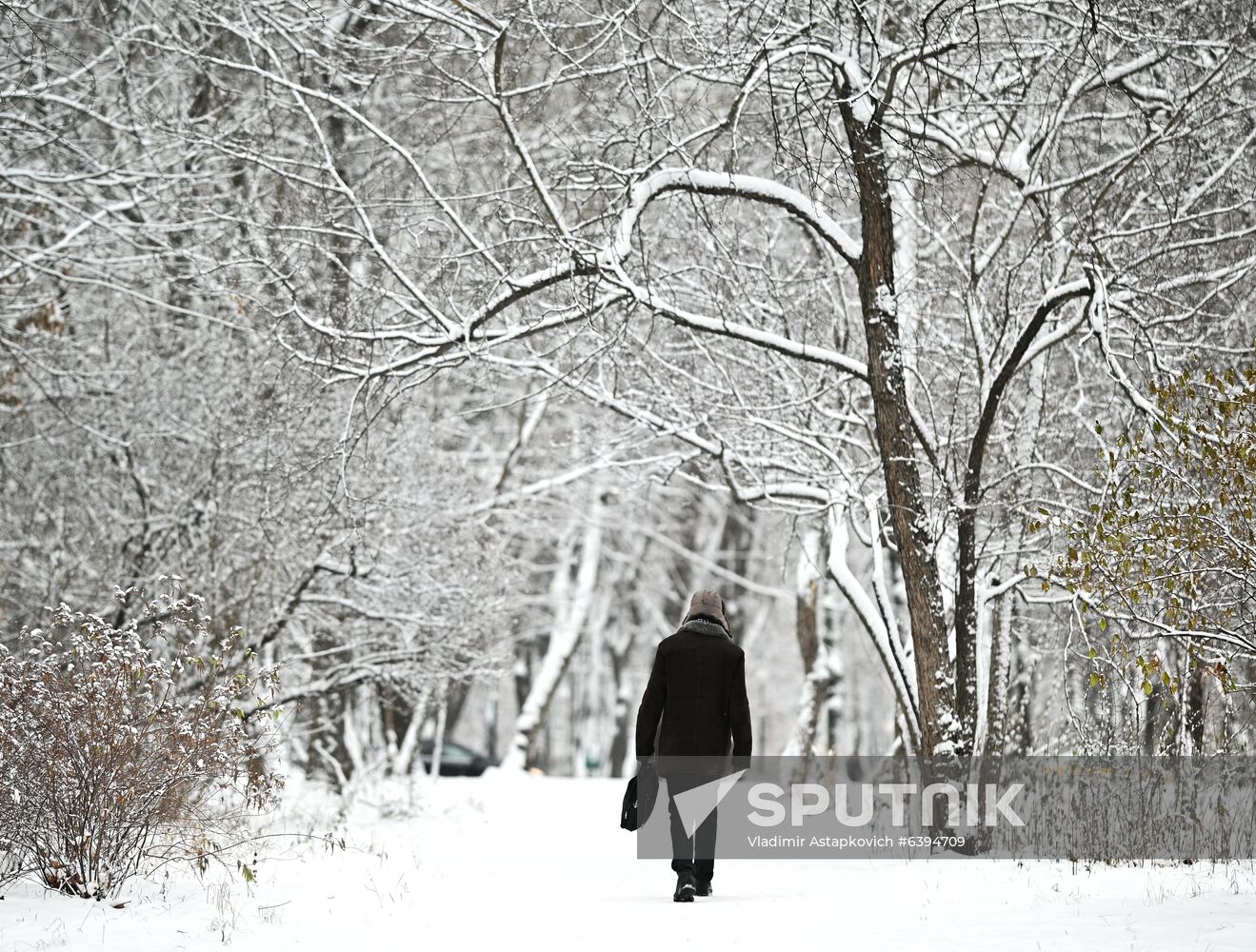 Russia Winter