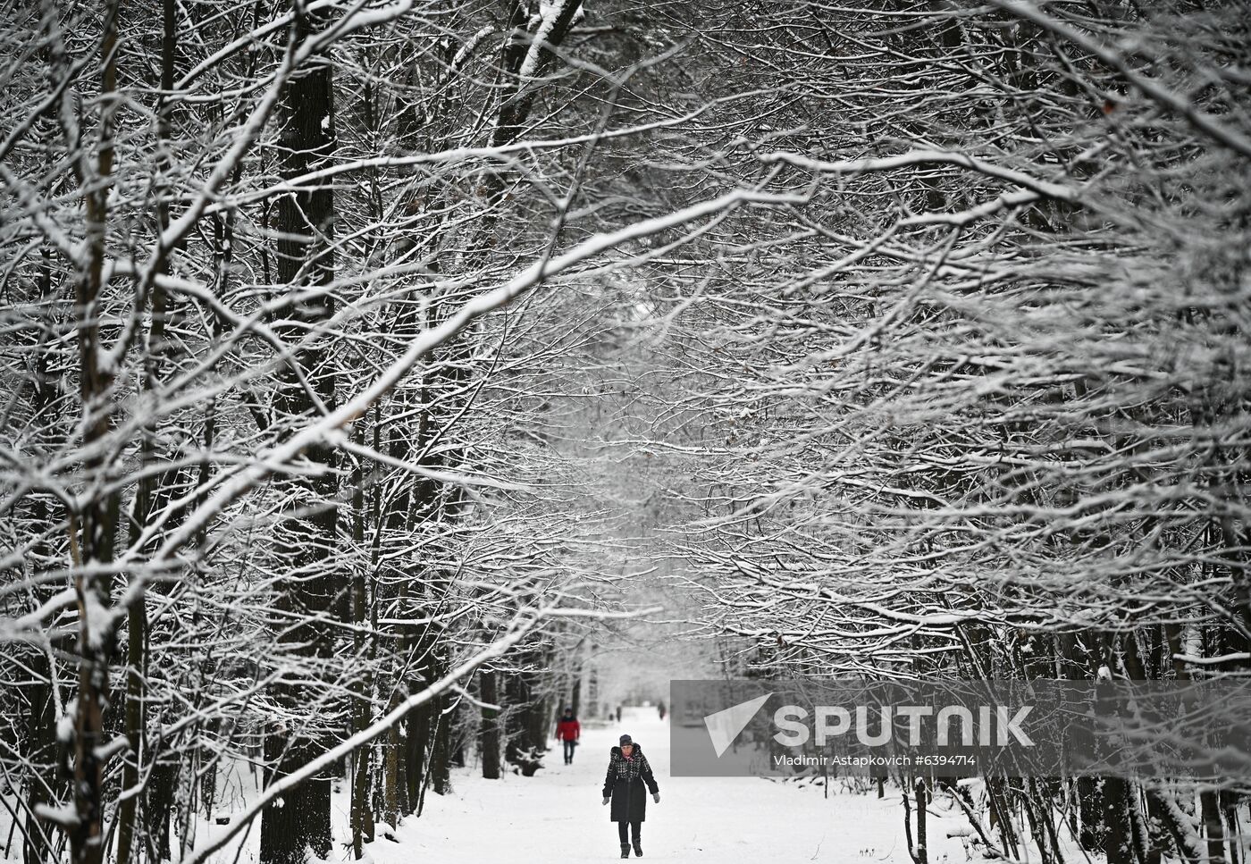 Russia Winter