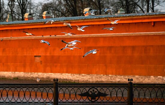 Russia Daily Life