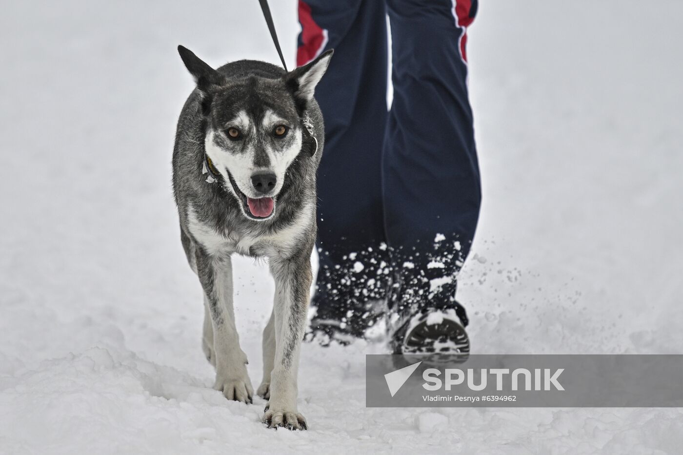 Russia Winter