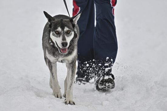 Russia Winter