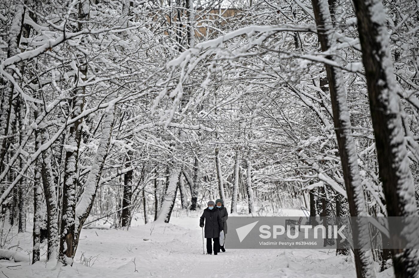Russia Winter
