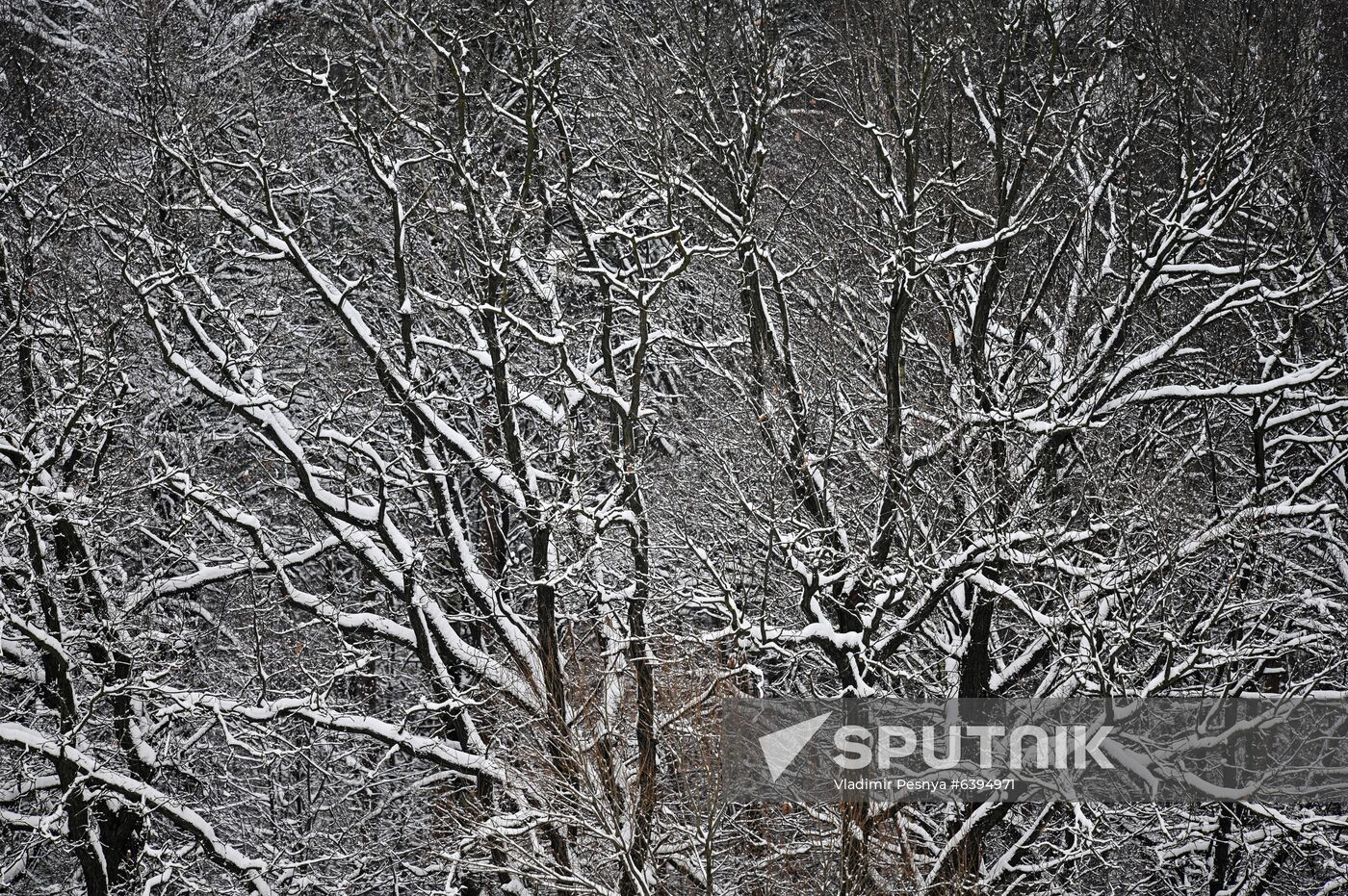 Russia Winter