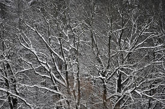 Russia Winter