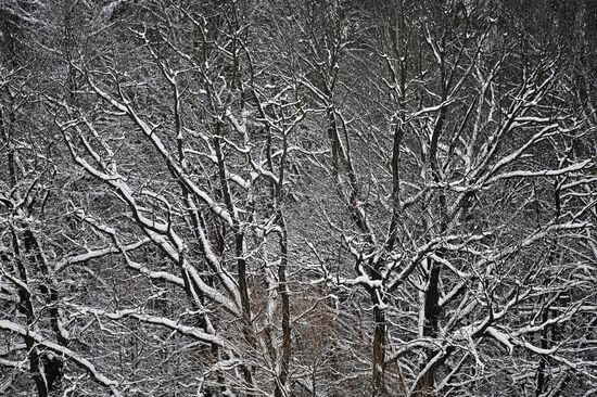 Russia Winter