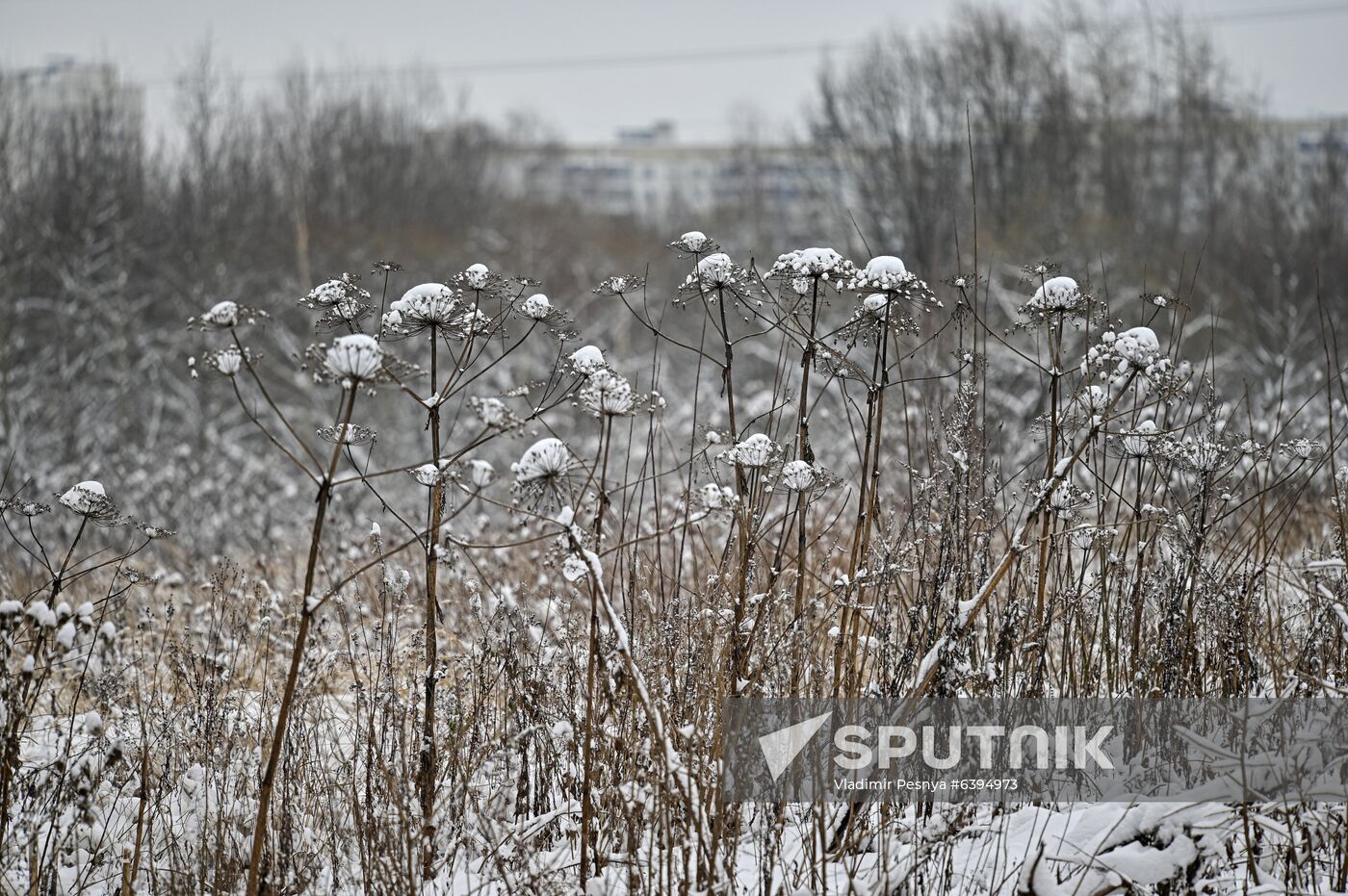 Russia Winter