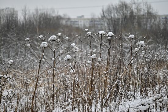 Russia Winter