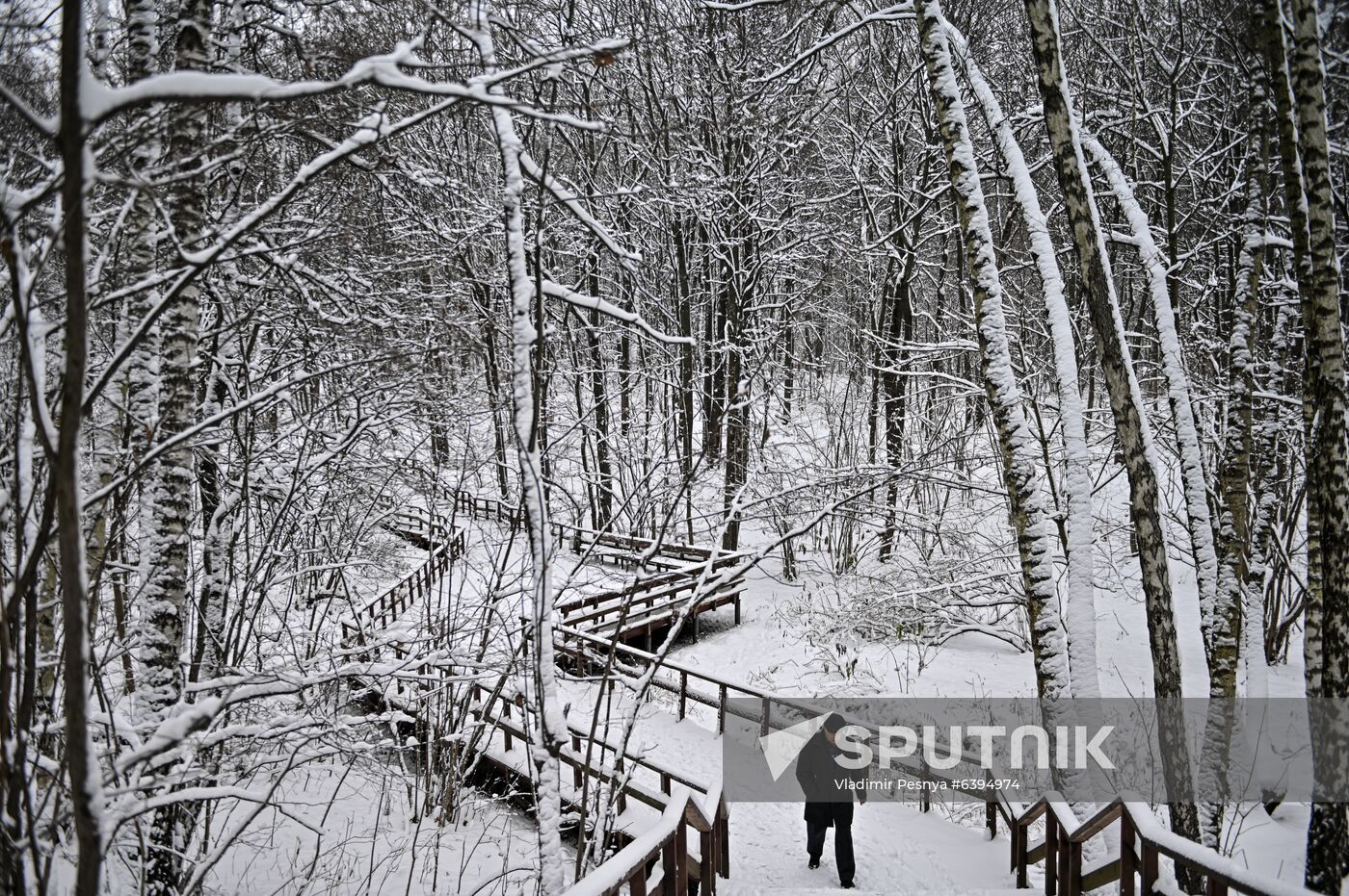 Russia Winter