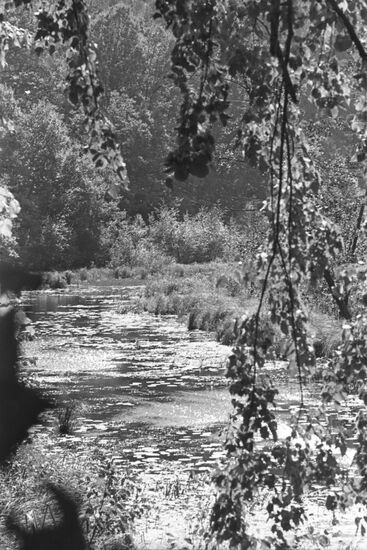 Oka State Nature Reserve