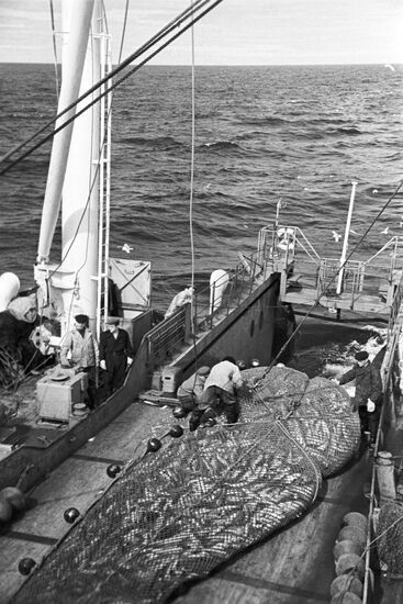 Trawler of Murmanets fishing cooperative