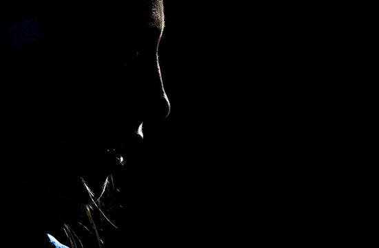 Finland Biathlon World Cup Training